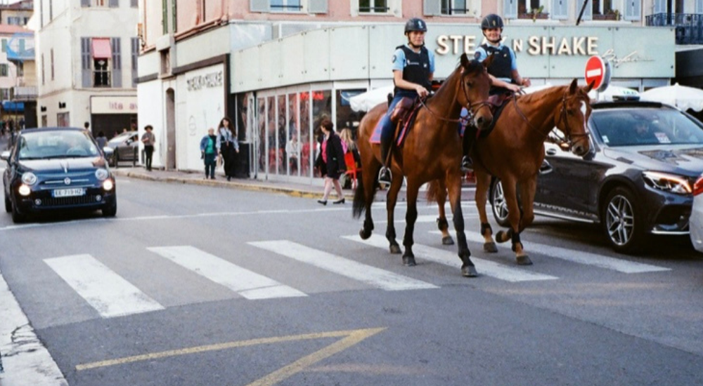 Was für Pferde werden von der Polizei geritten?