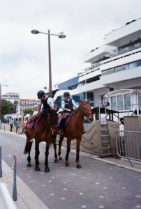 Polizeipferde im Einsatz